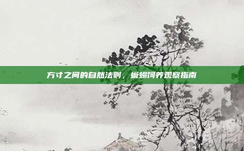 方寸之间的自然法则，蜥蜴饲养观察指南