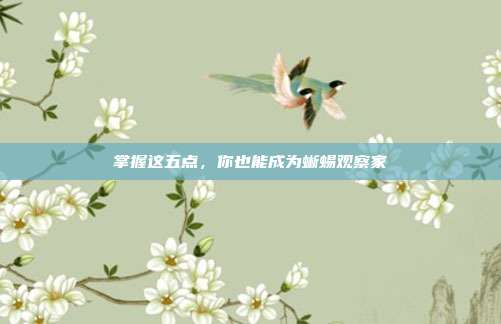 掌握这五点，你也能成为蜥蜴观察家