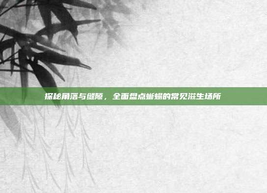 探秘角落与缝隙，全面盘点蜥蜴的常见滋生场所
