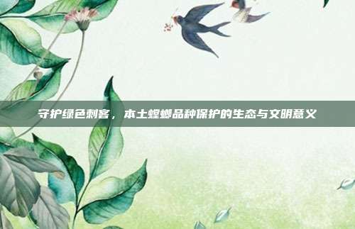守护绿色刺客，本土螳螂品种保护的生态与文明意义