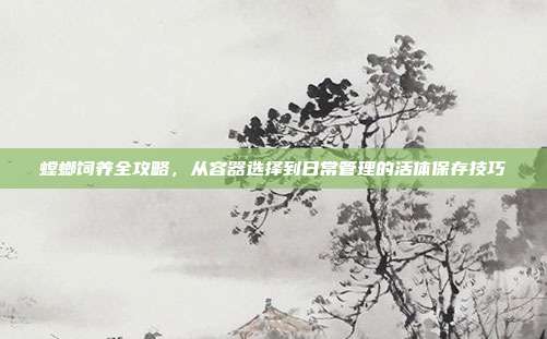螳螂饲养全攻略，从容器选择到日常管理的活体保存技巧