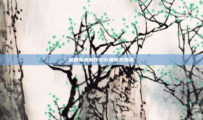 螳螂标本制作与长期保存指南
