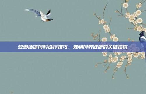 螳螂活体饲料选择技巧，宠物饲养健康的关键指南