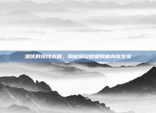 潜伏的提线木偶，揭秘操控螳螂的体内寄生虫