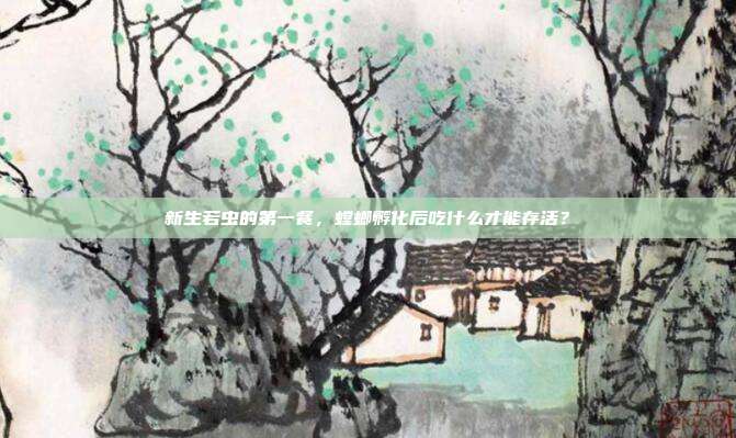 新生若虫的第一餐，螳螂孵化后吃什么才能存活？