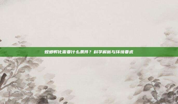 螳螂孵化需要什么条件？科学解析与环境要求