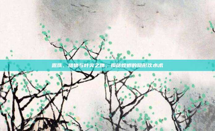 露珠、猎物与叶尖之吻，揭秘螳螂的隐形饮水术