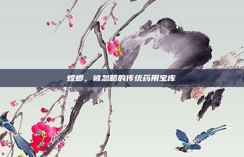 螳螂，被忽略的传统药用宝库