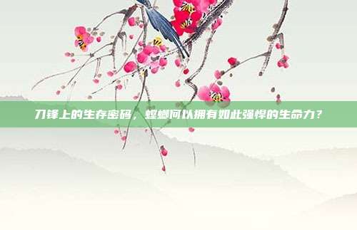 刀锋上的生存密码，螳螂何以拥有如此强悍的生命力？