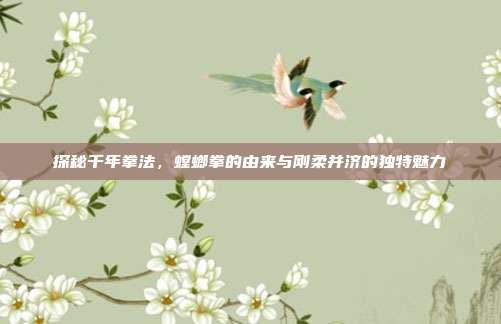 探秘千年拳法，螳螂拳的由来与刚柔并济的独特魅力