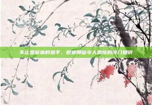 不止是祈祷的猎手，螳螂那些令人震惊的冷门知识