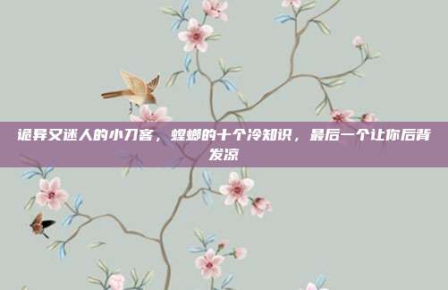 诡异又迷人的小刀客，螳螂的十个冷知识，最后一个让你后背发凉