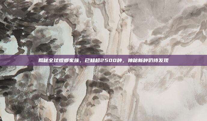 揭秘全球螳螂家族，已知超2500种，神秘新种仍待发现