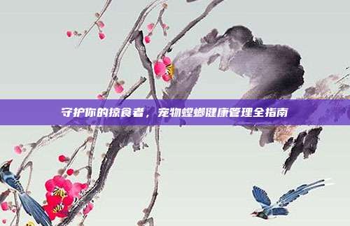 守护你的掠食者，宠物螳螂健康管理全指南