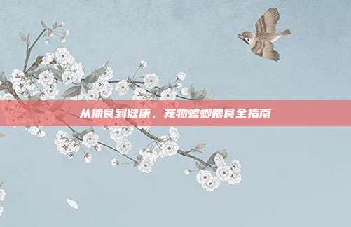 从捕食到健康，宠物螳螂喂食全指南