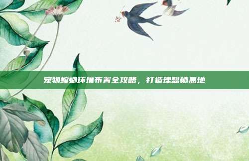 宠物螳螂环境布置全攻略，打造理想栖息地