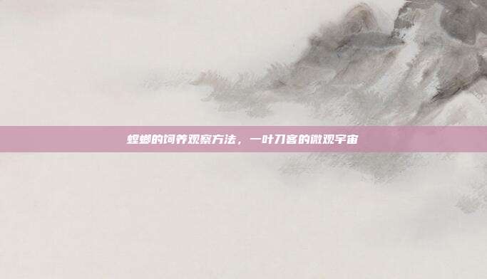 螳螂的饲养观察方法，一叶刀客的微观宇宙