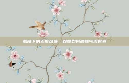 触角下的无形风暴，螳螂如何感知气流世界