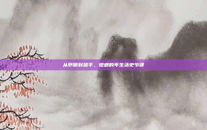 从卵鞘到猎手，螳螂的年生活史节律
