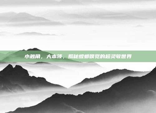 小触角，大本领，揭秘螳螂嗅觉的超灵敏世界