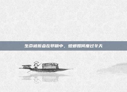 生命被折叠在卵鞘中，螳螂如何度过冬天