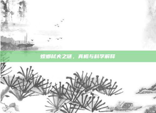 螳螂弑夫之谜，真相与科学解释