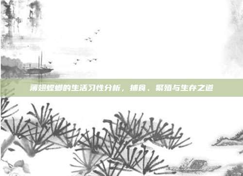 薄翅螳螂的生活习性分析，捕食、繁殖与生存之道