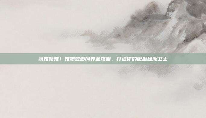 萌宠新宠！宠物螳螂饲养全攻略，打造你的微型绿洲卫士
