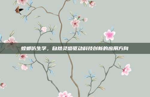螳螂仿生学，自然灵感驱动科技创新的应用方向