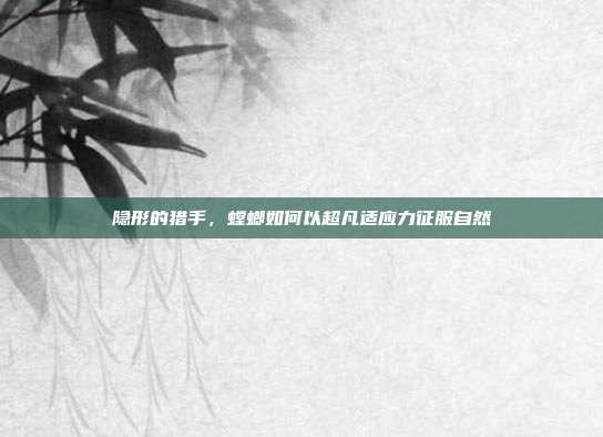 隐形的猎手，螳螂如何以超凡适应力征服自然