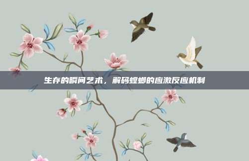 生存的瞬间艺术，解码螳螂的应激反应机制