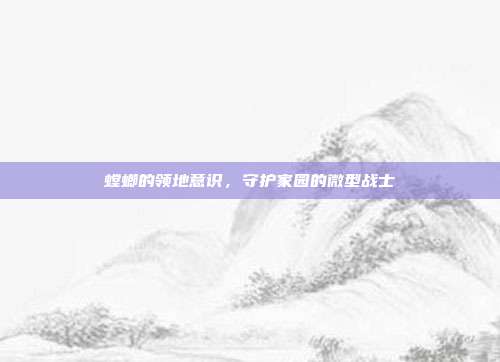 螳螂的领地意识，守护家园的微型战士