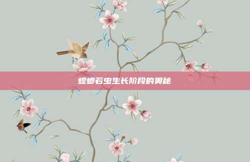 螳螂若虫生长阶段的奥秘