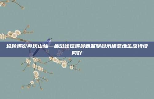 珍稀蝶影再现山林—金斑喙凤蝶最新监测显示栖息地生态持续向好