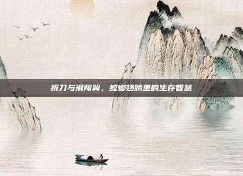 折刀与滑翔翼，螳螂翅膀里的生存智慧