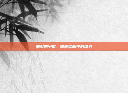 显微的宇宙，螳螂复眼中的世界