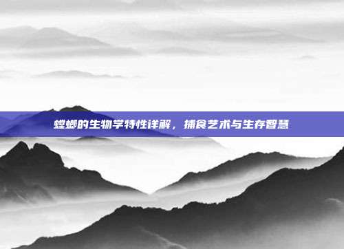 螳螂的生物学特性详解，捕食艺术与生存智慧
