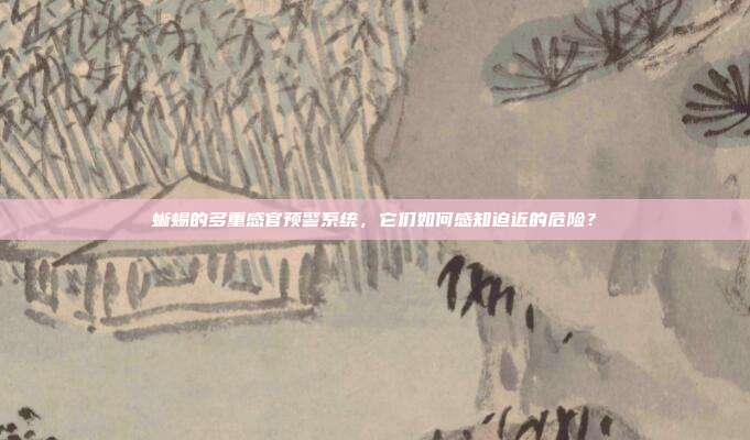 蜥蜴的多重感官预警系统，它们如何感知迫近的危险？
