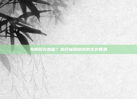 为何旧衣难留？揭开蜥蜴蜕皮的生存智慧