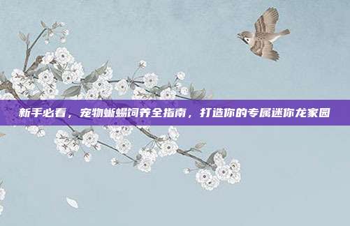 新手必看，宠物蜥蜴饲养全指南，打造你的专属迷你龙家园