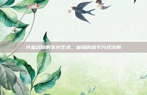 冷血动物的生存艺术，蜥蜴的越冬方式详解