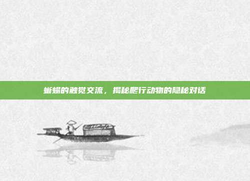 蜥蜴的触觉交流，揭秘爬行动物的隐秘对话
