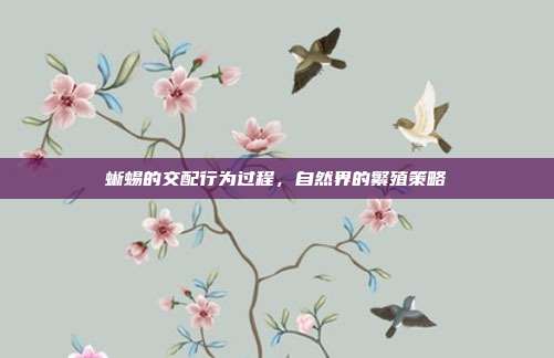 蜥蜴的交配行为过程，自然界的繁殖策略
