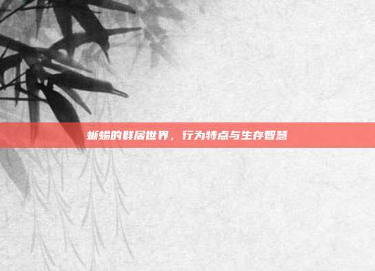 蜥蜴的群居世界，行为特点与生存智慧
