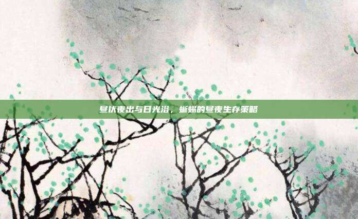 昼伏夜出与日光浴，蜥蜴的昼夜生存策略