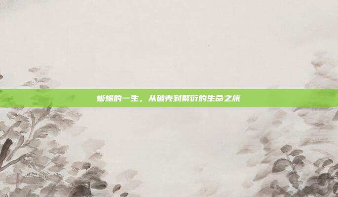 蜥蜴的一生，从破壳到繁衍的生命之旅