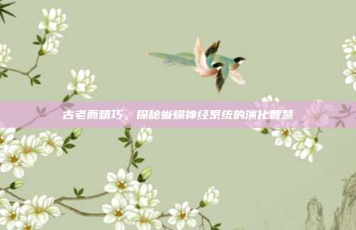 古老而精巧，探秘蜥蜴神经系统的演化智慧