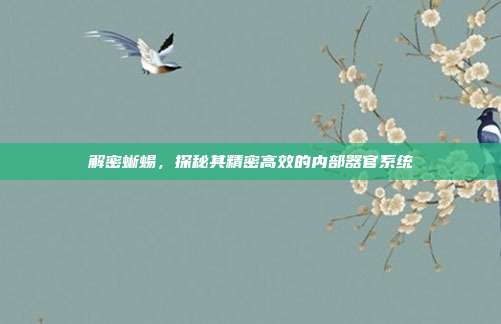 解密蜥蜴，探秘其精密高效的内部器官系统