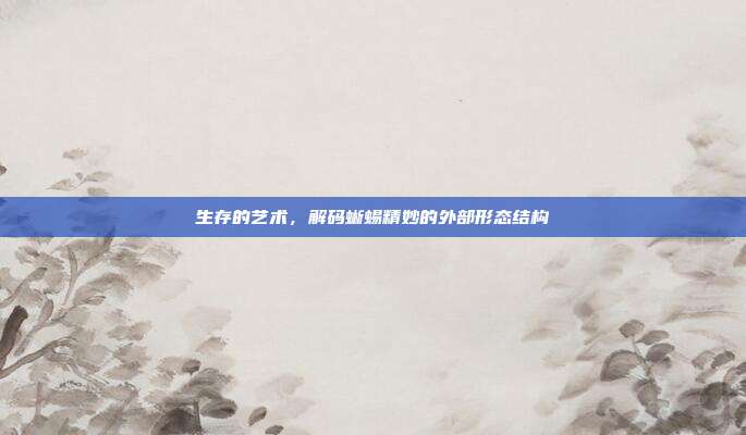 生存的艺术，解码蜥蜴精妙的外部形态结构