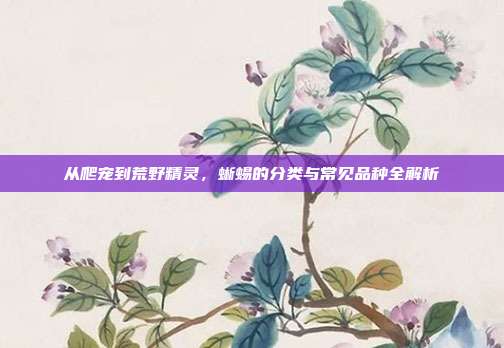 从爬宠到荒野精灵，蜥蜴的分类与常见品种全解析